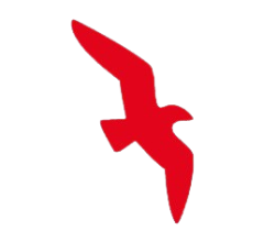 Air Arabia
